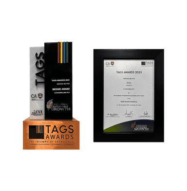 Award: Tags Award - Bronze (2023)